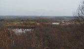 Trail Nordic walking Condé-sur-l'Escaut - la grande boucle de Condé sur Escaut  - Photo 5