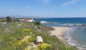 Trail Walking Unknown - Salamis bay conti vers le Nord - Photo 4