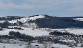 Tour Zu Fuß Ehrenberg - Rhönrundweg 7 - Photo 1