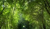 Randonnée Marche Huldenberg - #230710 - Neerijse, nature idyllique dans la réserve naturelle de Doode Bemde**** - Photo 11