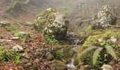 Trail Walking Corbel - Corbels, le col des egaux - Photo 1