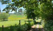 Tour Wandern Maarkedal - Louise Marie 15 km - Photo 5