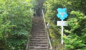 Trail On foot Escheburg - Escheburg - Friedrichsruh - (ES -FR) - Photo 8