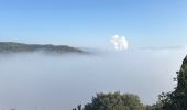 Tour Wandern Rochemaure - Château de Rochemaure, Pic de Chenavari. - Photo 3