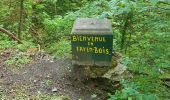 Trail Walking Beyne-Heusay - Beyne-Heusay - Photo 3