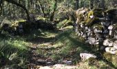 Trail Walking Loubressac - Laguizayrie - Photo 2