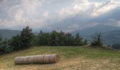 Percorso A piedi Castelnovo ne' Monti - Sentiero Natura dei Gessi Triassici - Mulino di Vologno - Vologno - C. Loppi - Pietra di Bismantova - Carnola - Photo 3