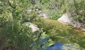 Trail Walking Tourves - caramy - Photo 1