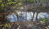 Trail Walking Oissel - 20231128-les essarts cool - Photo 15