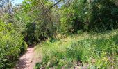 Tour Wandern Saint-Bonnet-du-Gard - mon 8 du pont du Gard  - Photo 5