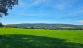 Tocht Stappen Durbuy - Balade à Villers Sainte Gertrude - Photo 9