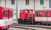 Percorso A piedi Andermatt - Blumen- und Lawinenlehrpfad Chilchenberg - Photo 5