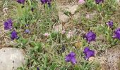 Trail Walking Manosque - grand tour de Bellevue - Photo 2