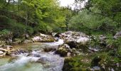 Excursión Senderismo Bohinj - Gorges - Photo 6