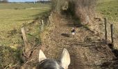 Trail Horseback riding Neufchâteau - Bois d’Ospot - Photo 2