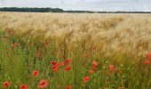 Tocht Stappen Rambouillet - Rambouillet- Le Perray - Photo 1