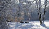 Excursión A pie Vaihingen an der Enz - Blauer Punkt, Horrheim - Fleckenwald - Photo 7