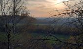 Trail Walking La Louvière - A travers les terrils - Saint Vaast - Bois du Luc - Photo 4