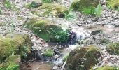 Tour Wandern Reinhardsmünster - table des Géants  - Photo 1