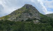 Tocht Stappen Bastelica - I Pozzi en partant du val d'Eze  - Photo 10