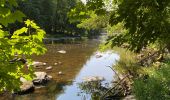 Trail Walking Houffalize - Ollômont - Photo 12