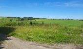 Tour Wandern Bastnach - Bastogne Mesa 280624 - Photo 10