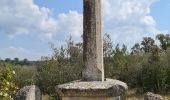 Randonnée Marche Salinelles - Salinelles-Souvignargues-Fontanes - Photo 10