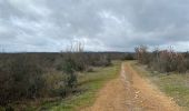 Excursión  Septfonds - Septfonds . Dolmens  - Photo 1