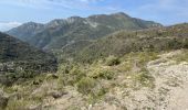 Trail Walking Castillon - Castillon : Mt Ours - Photo 19