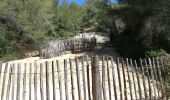 Trail Walking Saint-Cyr-sur-Mer - ,St Cyr la dune et calanque d'alon - Photo 3