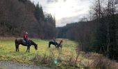 Trail Horseback riding Bastogne - Livarchamps décembre 2020 - Photo 2
