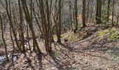 Trail Walking Huy - 20230311 - Photo 7