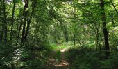 Randonnée Marche Choisy-au-Bac - en forêt de Laigue_9_06_2020_Chemin du Fau Bidaud et la Route de Royaumont - Photo 20