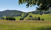 Randonnée Marche Kirchberg - 2020-06-24 DW35 Au-dessus du lac Lachtelweiher - Photo 16