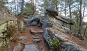 Trail Walking Fontainebleau - Sentier Denecourt 8 8-8 - Photo 6