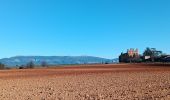 Trail Walking Valensole - plateau de valensole . ravin des cognets . ravin de la combe  - Photo 20