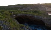 Tocht Stappen Anse-Bertrand - Trou du Souffleur - Trou de Madame Coco - Photo 12