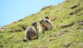 Tour Zu Fuß Ceresole Reale - (SI E34V) Villa Poma (Lago di Ceresole) - Rifugio Savoia (Valle d'Aosta) - Photo 10