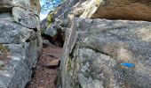 Tocht Stappen Fontainebleau - Fontainebleau sentier Denecourt Colinet 4 - Photo 4