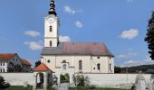 Trail On foot Sankt Stefan im Rosental - St. Stefan Wanderweg 8 - Photo 4