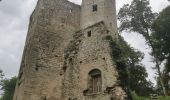 Tour Wandern Laizy - chateau des vautheau - Photo 9
