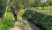 Trail Walking Ottignies-Louvain-la-Neuve - #240412 - 3 bois : de Bustons, des Corbeaux et des Volontaires (courte) - Photo 15