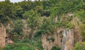 Percorso A piedi Sárospatak - Hegyalja - Malomkő Tanösvény - Photo 2