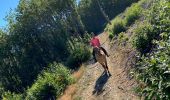Trail Horseback riding Pisieu - Pisieu 2  - Photo 7
