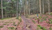 Trail Walking Manhay - Deux Rys 120423 - Photo 14