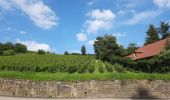 Tour Wandern Rappoltsweiler - Les 3 châteaux de Ribeauvillé - Photo 14