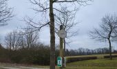 Tocht Stappen Somme-Leuze - Nettine 020224 - Photo 8