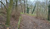 Tour Wandern Brétigny-sur-Orge - Brétigny-sur-Orge - Parcs Bassins Basilique Châteaux - Photo 12