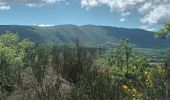 Randonnée Marche Céreste - Colline de la Gardette-Céreste-08-05-23 - Photo 1