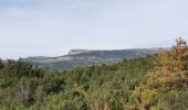 Tour Wandern Le Castellet - Les crêtes de Cuges les Pins - Photo 4